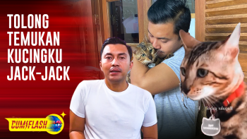Kucing Kesayangan Hilang, Anjasmara Buat Sayembara hingga Lempar Pesan Menyentuh untuk Sang Pencuri