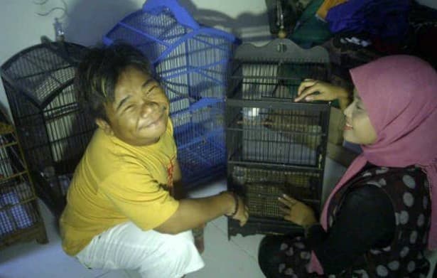 Hendrik Ceper Hobi Pelihara Burung