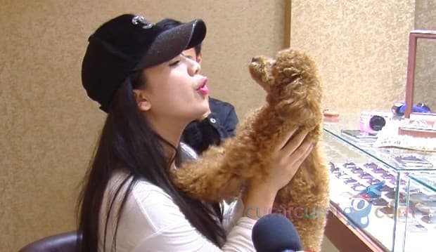 Anjing Kesayangan Antar Feli-Hito di Altar Pernikahan, Venue dan Kostum Khusus Disiapkan