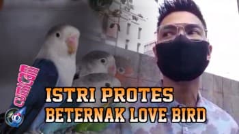 Nycta Gina Protes Keras, Suami Sewa Kontrakan Khusus Beternak Love Bird