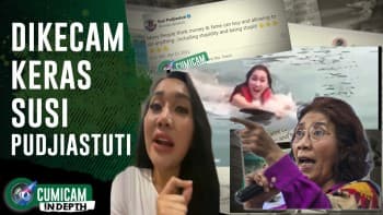 Aksi Lucinta Luna Berenang Bersama Lumba-lumba Dikecam Keras Susi Pudjiastuti & Davina Veronica