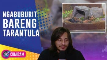 Menantikan Waktu Buka Puasa, Dylan Carr Pilih Habiskan Waktu Bersama Tarantuna