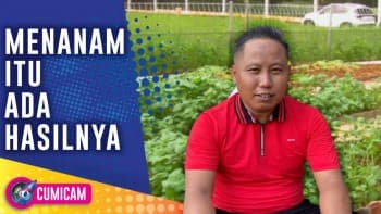 Sempat Viral Narji dan Prilly Latuconsina Sibuk Berkebun, Ternyata Ini Alasannya - Cumicam